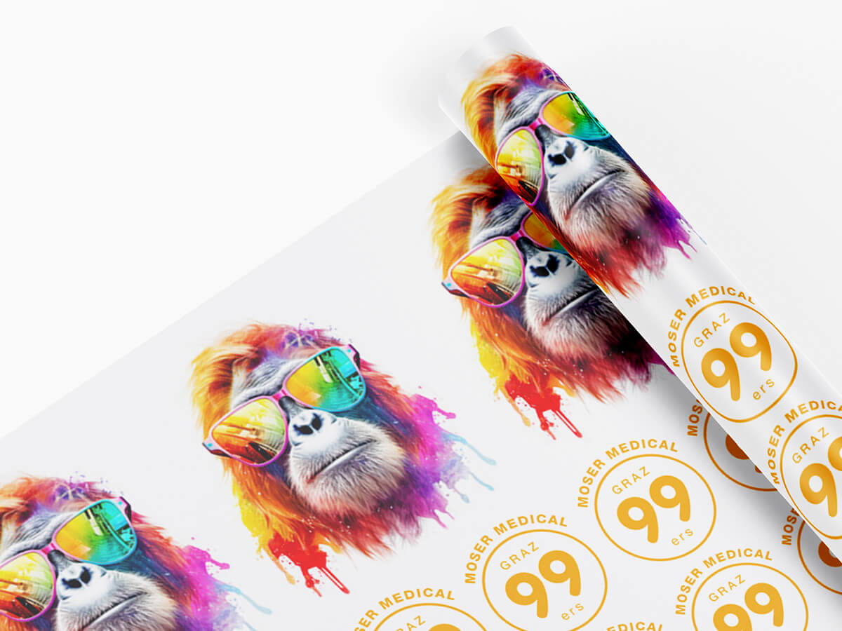 DTF-Druckbogen Upload – eigene Dateien hochladen